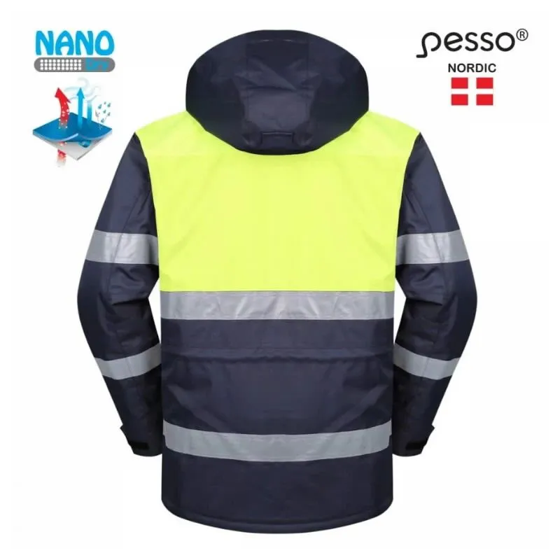 Jaka ziemas hana pelēkzila-dzeltena m