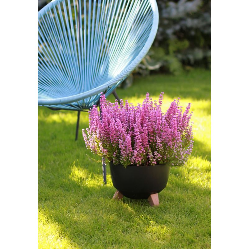 Puķupods pl. bowl roma 797-04 240