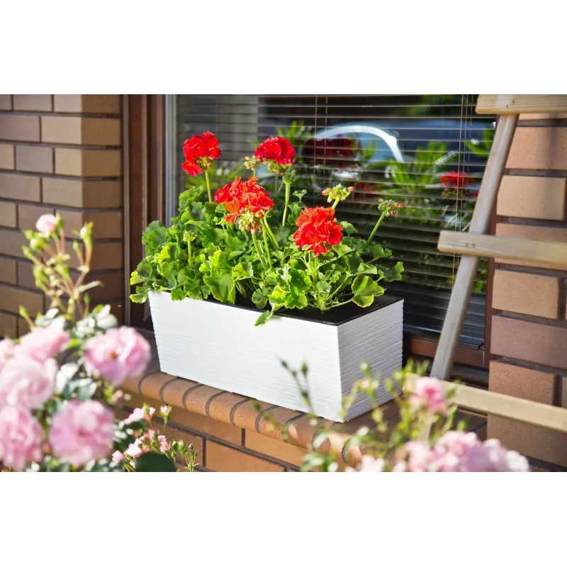 Balkona stādītājs Lamela Begonya 627-05, plastmasa, 56 cm x 19 cm, balta krās.