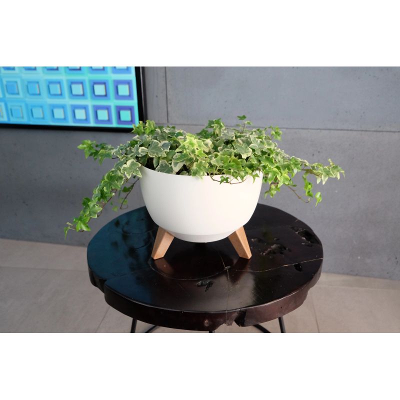 Plastm. puķu pods bowl roma 290 krēmkr.