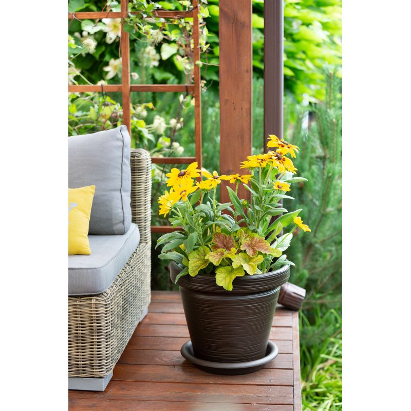 Pods puķu agawa 743 dłuto 390-83