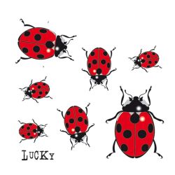 Auto uzlīme mārītes 11x10.5cm