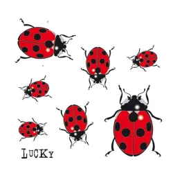 Auto uzlīme mārītes 11x10.5cm