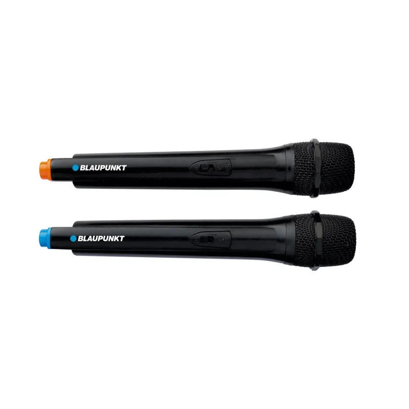 Blaupunkt PB12DB