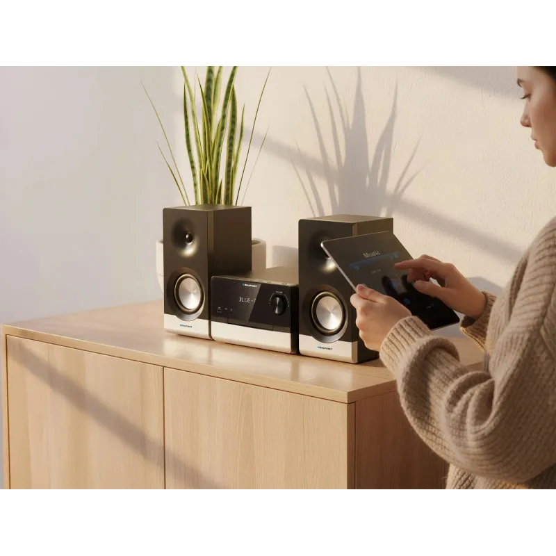 Blaupunkt MS40.2BT