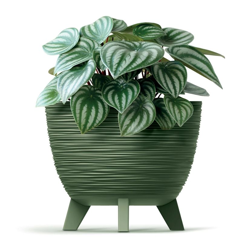 Puķupods furu eco wood dfur240-5615c