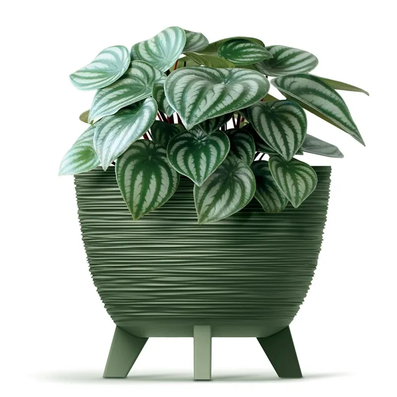 Puķu pods Prosperplast Furu DFUR240-5615C, plastmasa, zaļa