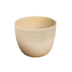 Gėlių vazonas, keramika, smėlio sp.