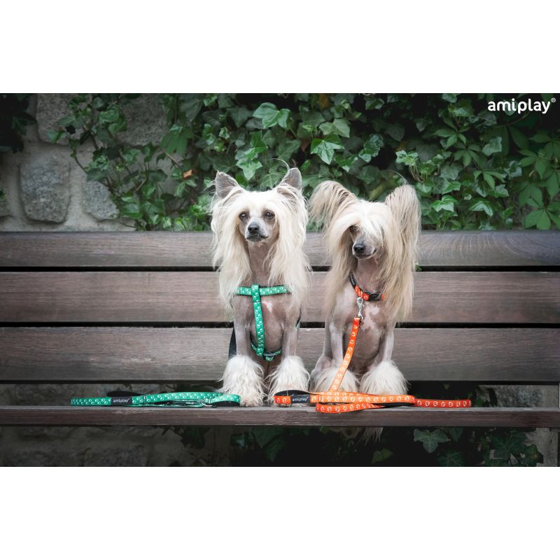 Krūšu siksna amiplay zaļa s 20-35x1cm