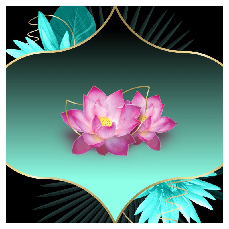 Discreet Protective Waterlily Plus Biksīšu Ieliktnīši, 52 gab