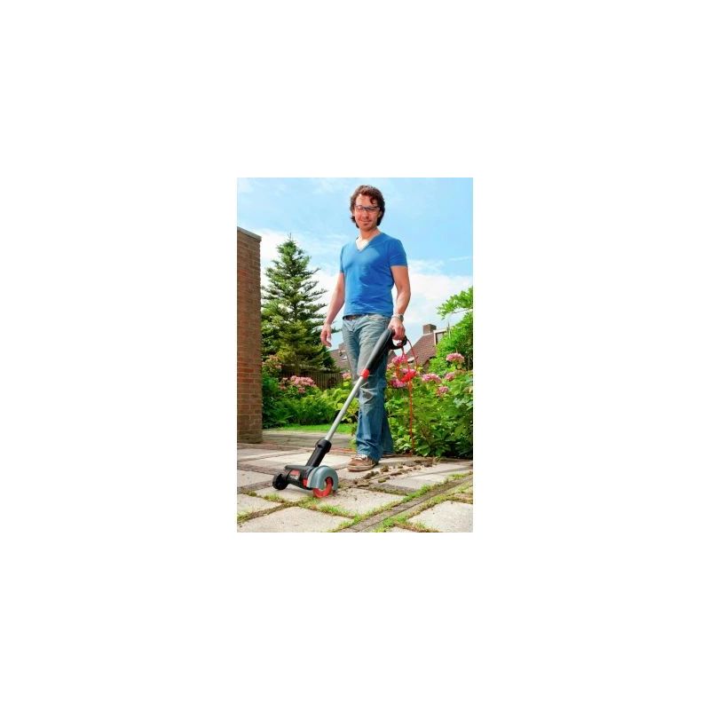 Birste nezāļu ravēšanai skil f0150700ag