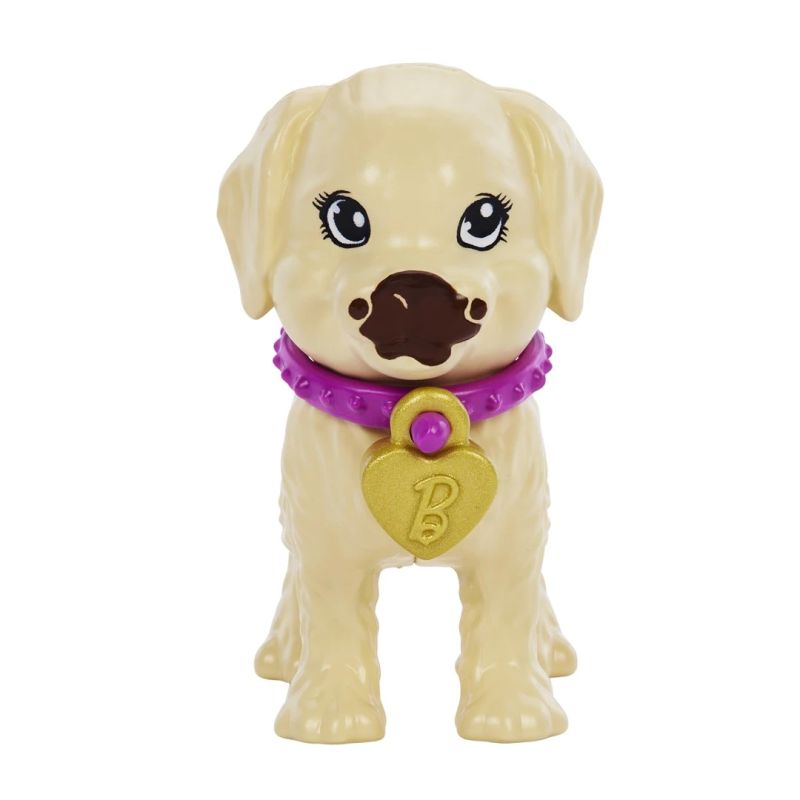 Rotaļlieta lelle barbie sunīšu komplekts