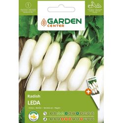 Sēklas redīsi leda