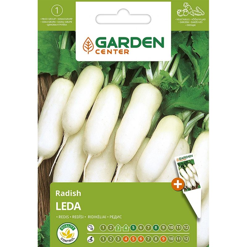 Sēklas redīsi leda