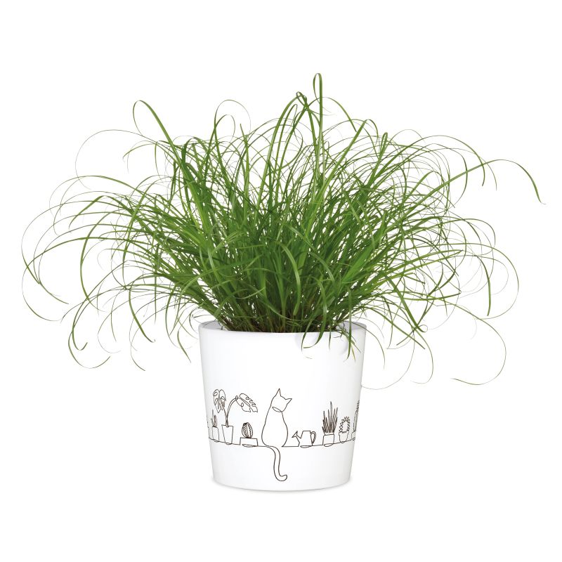 Vāze keramikas 870-13 catview d13