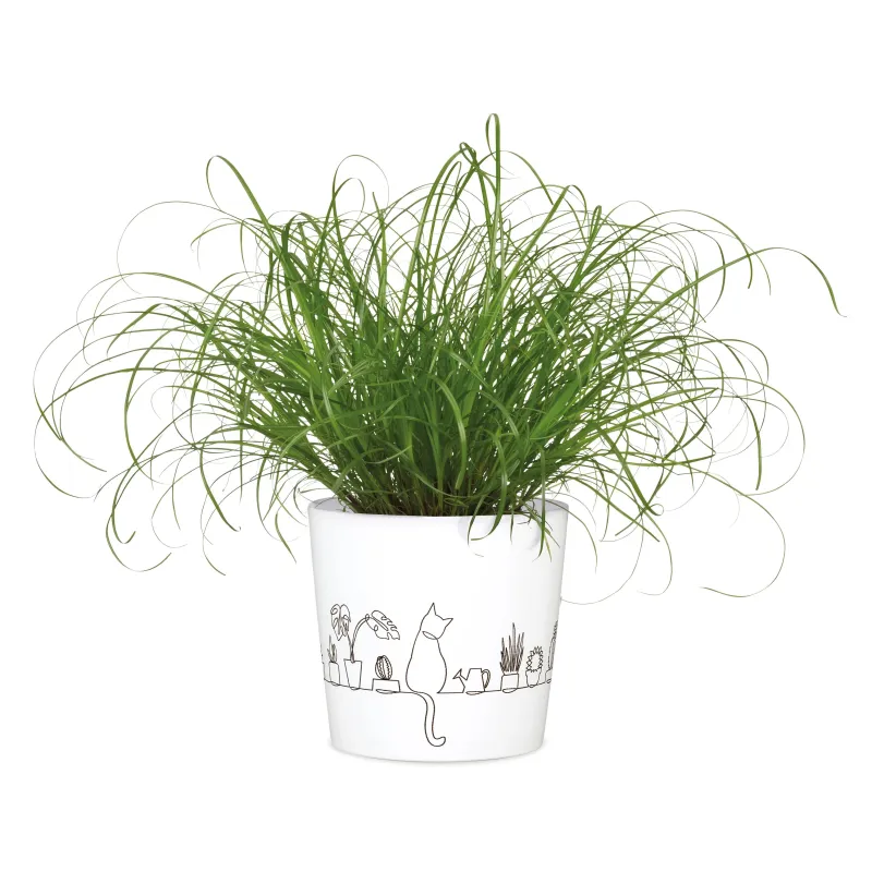 Puķu pods Scheurich Catview 65577, keramika, balta