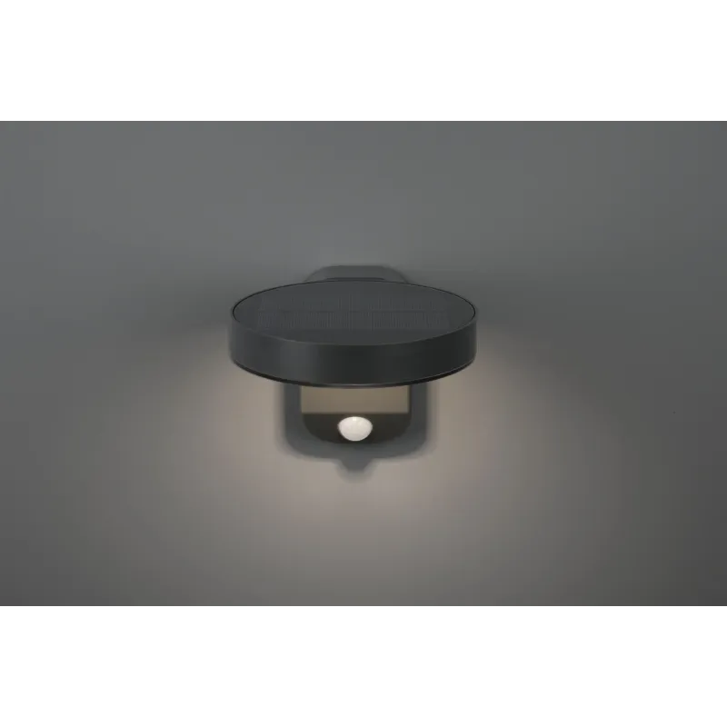 Āra sienas lampa Reality Rosario R22251142, 4.5W, LED, IP44, antracīta krās., 15 cm x 12 cm