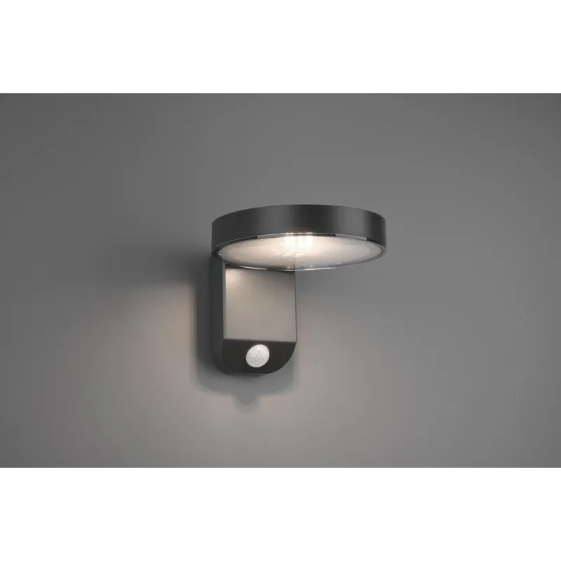 Āra sienas lampa Reality Rosario R22251142, 4.5W, LED, IP44, antracīta krās., 15 cm x 12 cm