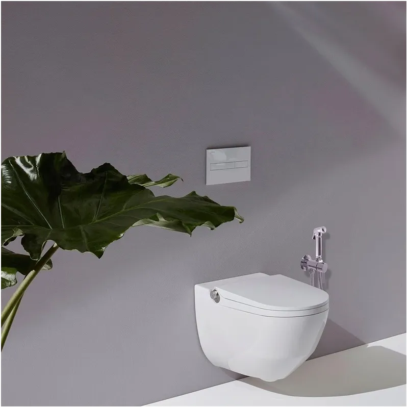 Bidė dušelio komplektas Domoletti Seina, chromo sp.