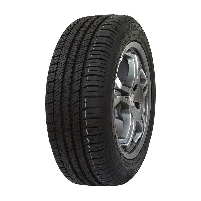 Vissezonas riepa as-1 225-45r17 91h