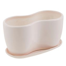 Pods puķu maijpuķīte krēmkrāsas d29.5