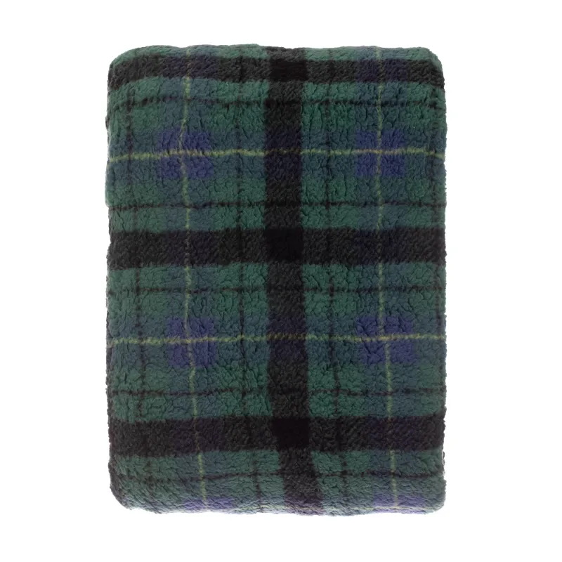 Pledi Domoletti Sherpa, zaļa, 130 cm x 160 cm