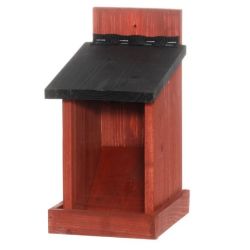 Barotava putniem tintti koka sarkans