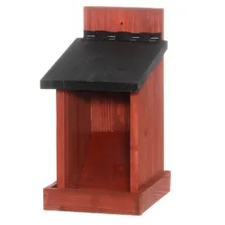 Barotava putniem tintti koka sarkans