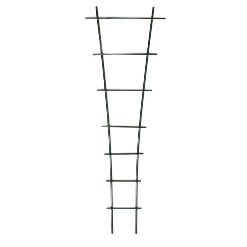 Atbalsts augu 20065 20x57cm ,100,