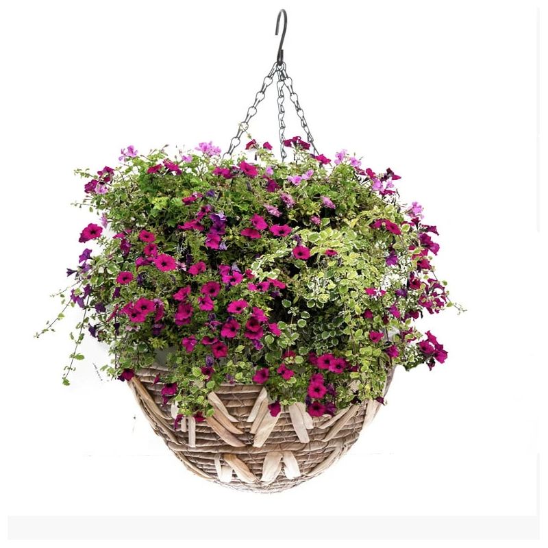 Pods puķu uzkarams pīts 30846 d35 cm