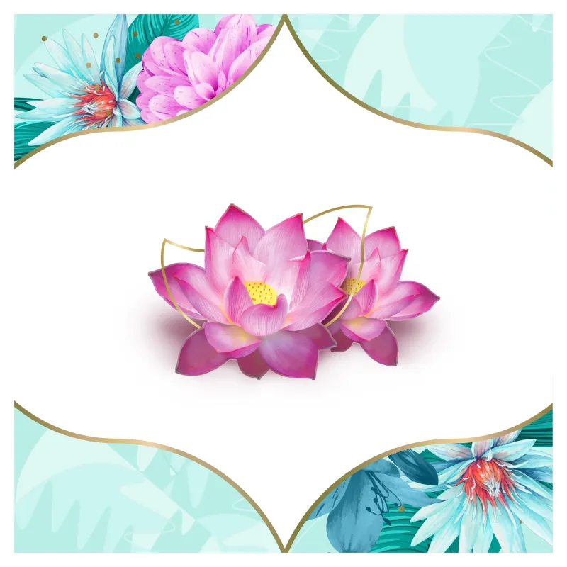 Discreet Multiform Waterlily Biksīšu Ieliktnīši, 100 gab