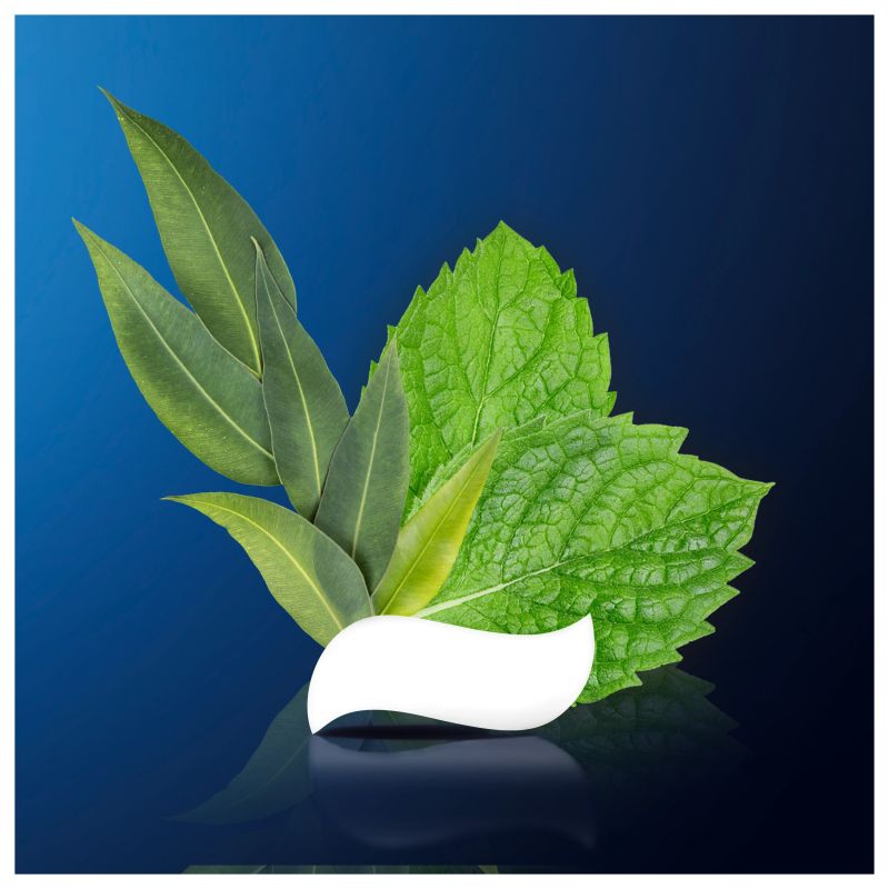 Oral-B Professional Regenerate Enamel Daily Protection 75ml Zobu pasta