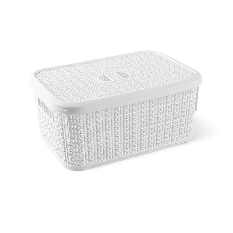 Uzglabāšanas kaste ar vāku 8691459017066, 6 l, balta krās., 28.5 x 12.5 x 20 cm