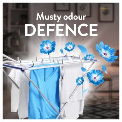 LENOR Средство Для Ухода За Tканью Fresh Wind 1.204 Л ,86 Cтирок,