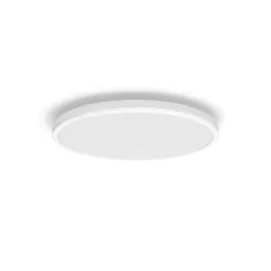 Lampa plafons Philips Ozziet 929003196701, LED, 4000 °K, 1 x 22 W