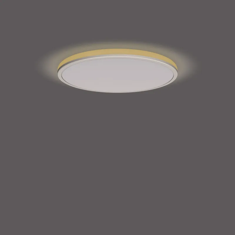 Valgusti plafoon Philips Ozziet 929003196701, LED, 4000 °K, 1 x 22 W