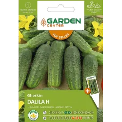 Sēklas gurķi dalila h