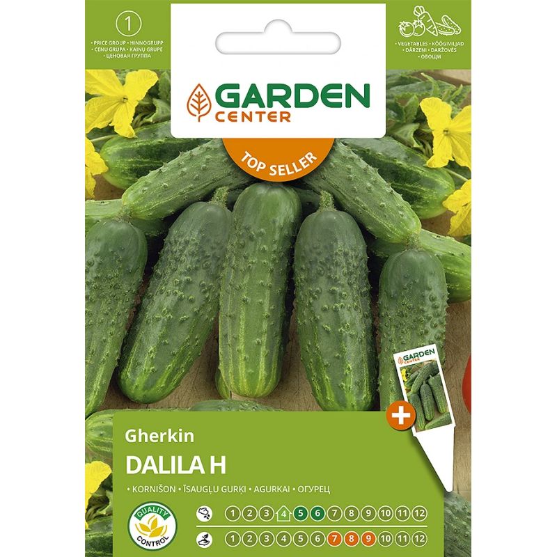 Seemned Garden Center, kurgid Dalila H, 1 g