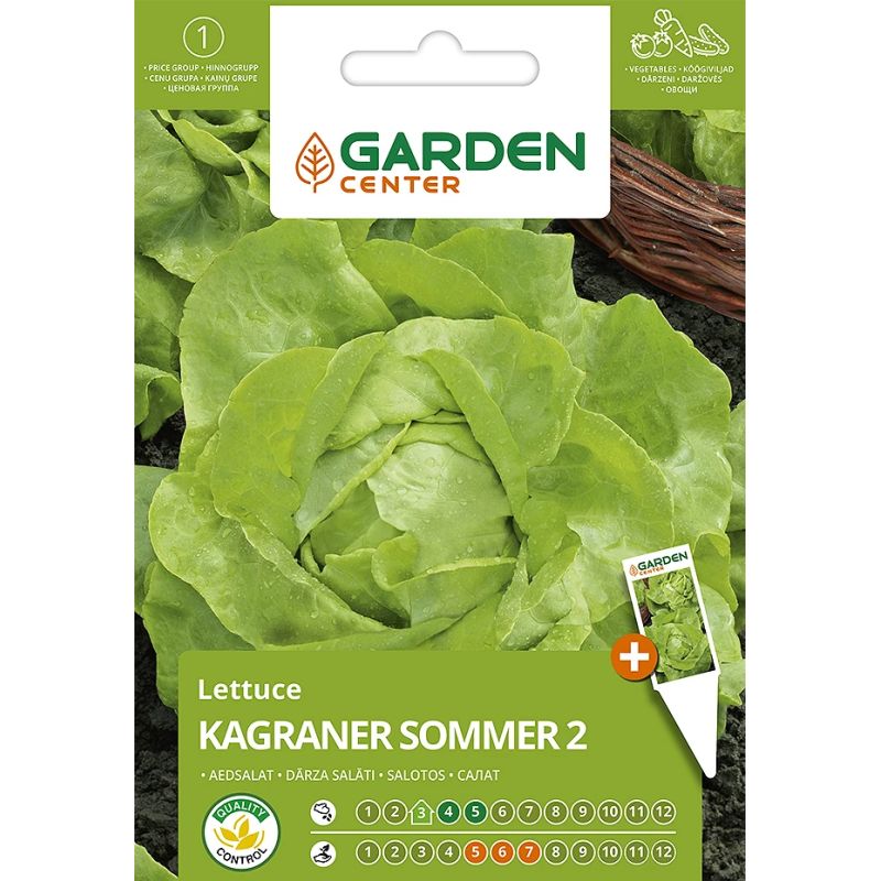 Seemned Garden Center, salat Kagraner Sommer, 1 g