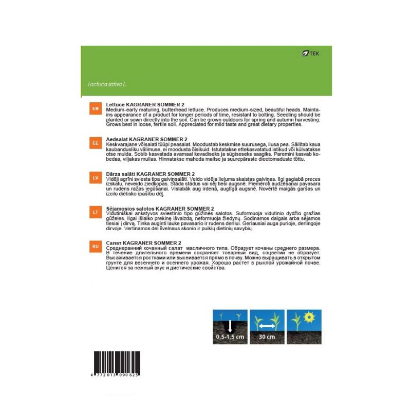 Seemned Garden Center, salat Kagraner Sommer, 1 g