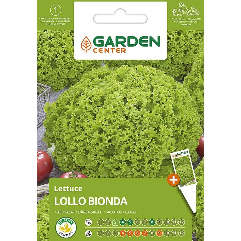 Seemned Garden Center, salat Lollo Bionda, 1 g