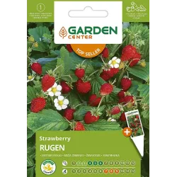 Seemned Garden Center, metsmaasikad Rugen, 0.1 g