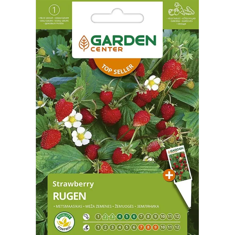 Sēklas Garden Center, meža zemenes Rugen, 0.1 g