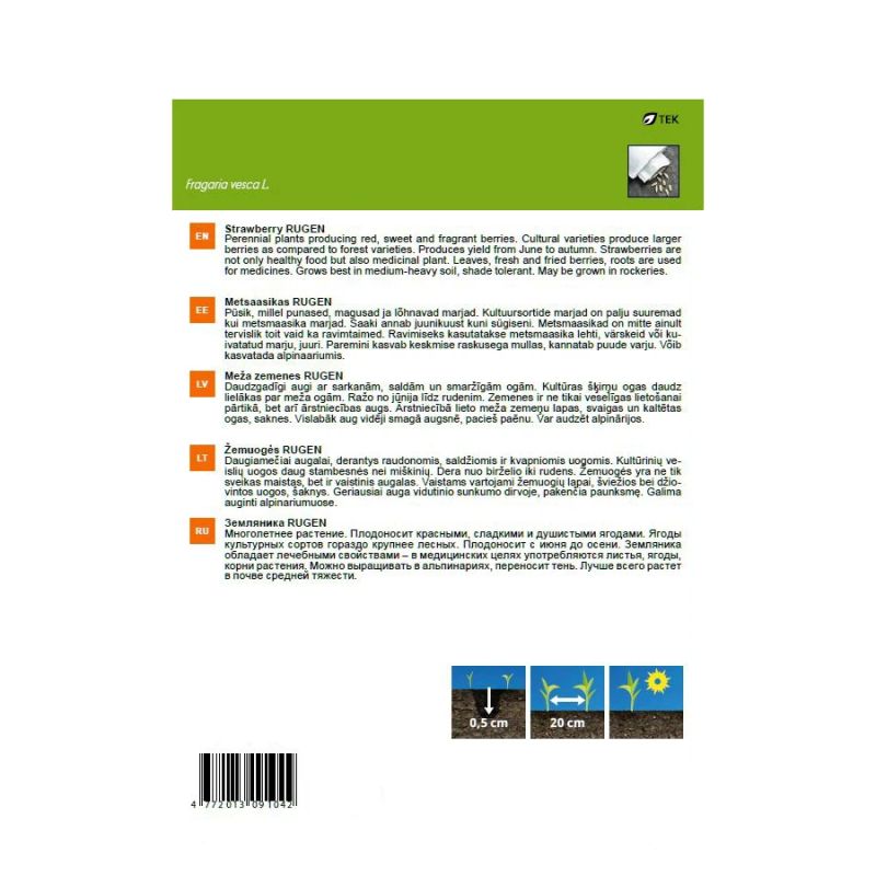 Seemned Garden Center, metsmaasikad Rugen, 0.1 g