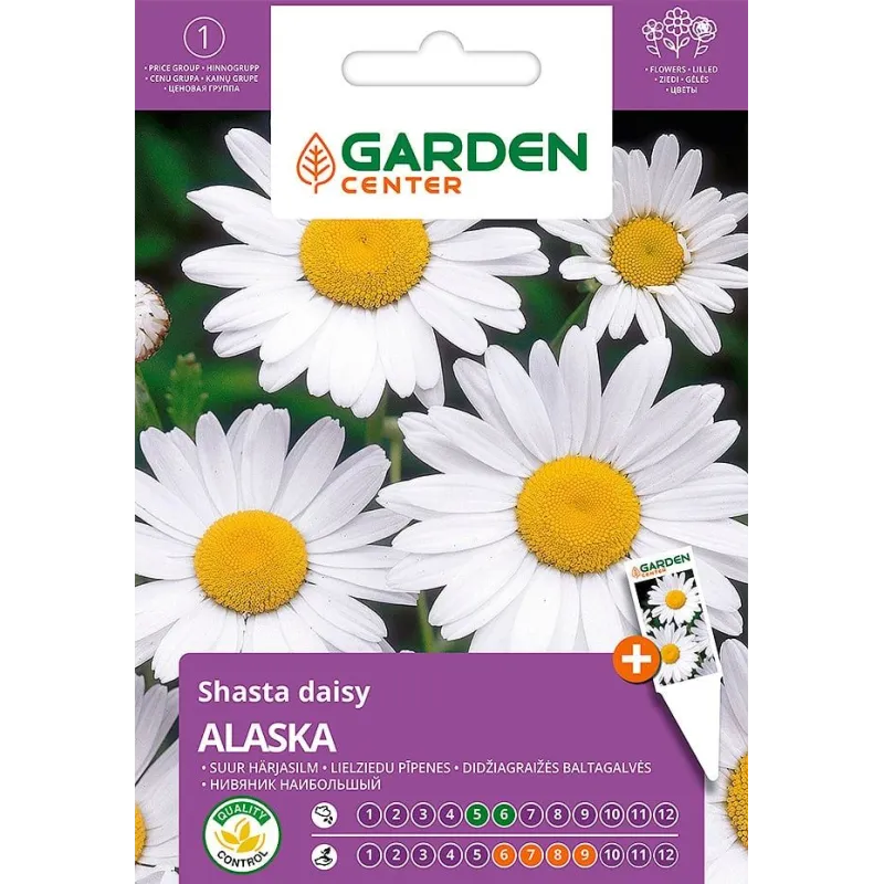 Sēklas Garden Center pīpenes Alaska, 0.2 g
