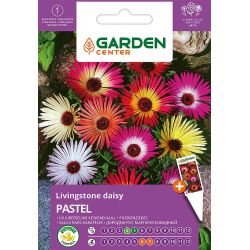 Sēklas mārpuķīšu pusdienziežu pastel