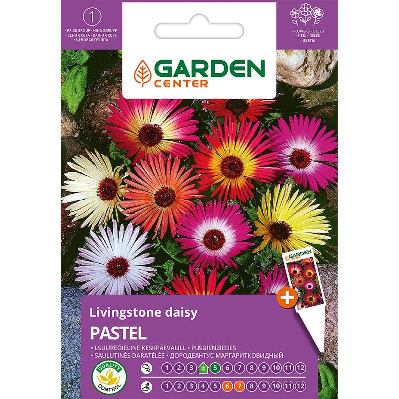 Sēklas mārpuķīšu pusdienziežu pastel