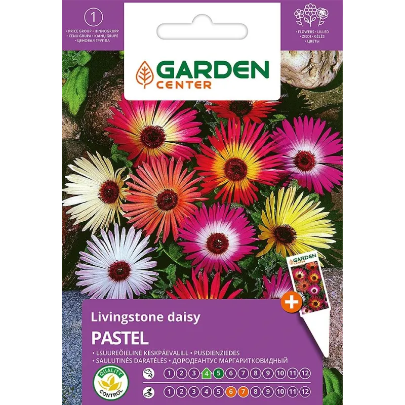 Sēklas Garden Center mezembriantēmas Pastel, 0.5 g