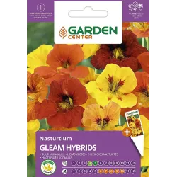 Sēklas lielā krese gleam hybrids