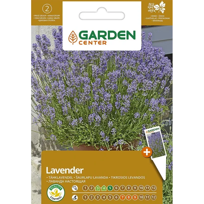 Sēklas Garden Center lavandas, 0.4 g